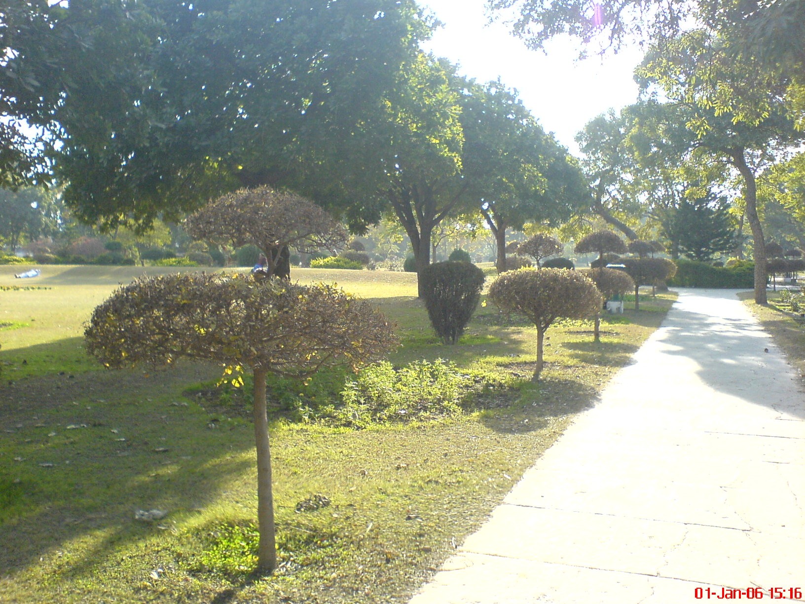 Hibiscus Garden cover